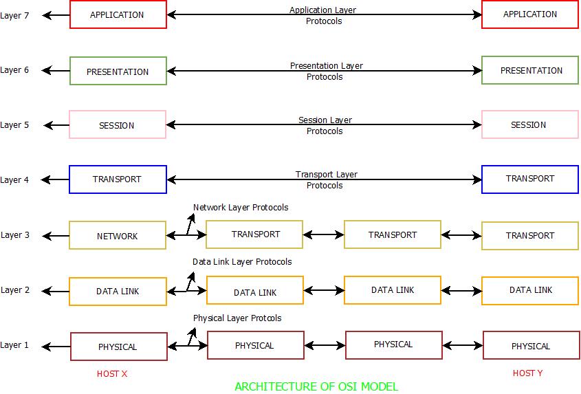 network model