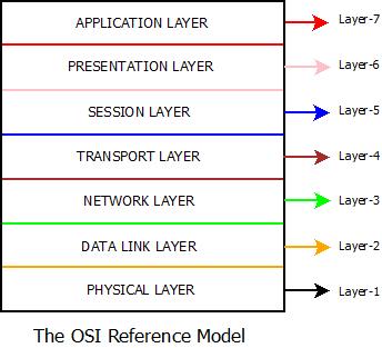 network model