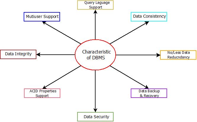 What are the Characteristics of DBMS? - InterviewBit